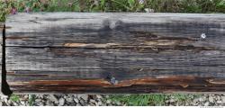 Photo Textures of Wood